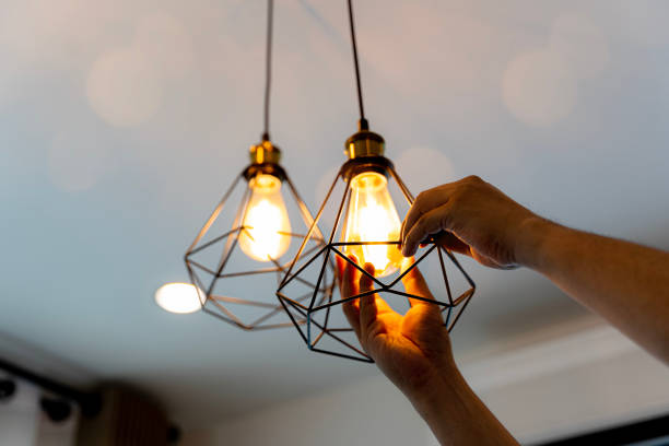 Best Residential Electrician Services  in Tecumseh, MI